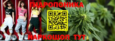 твердый Будённовск